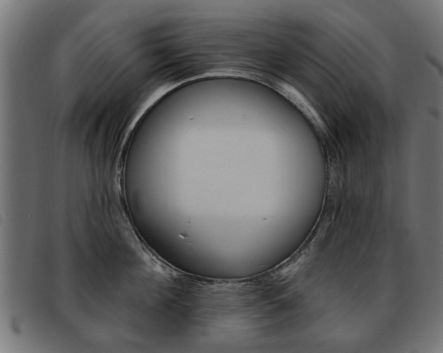 X0000093580908200710150955