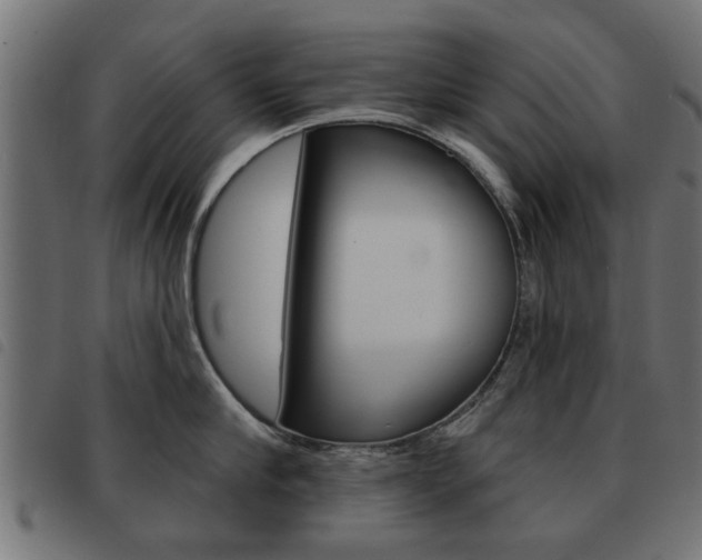 X0000093580910200710150955