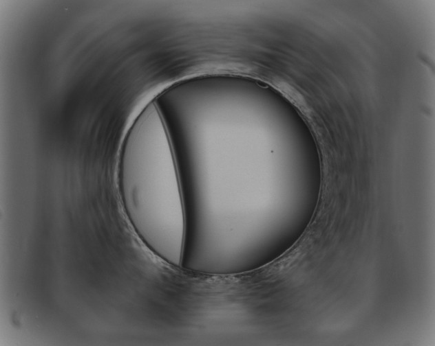 X0000093580912200710150955