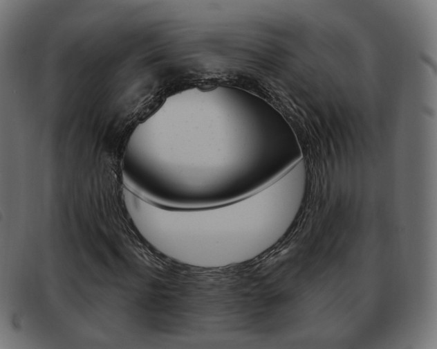 X0000093580916200710150954