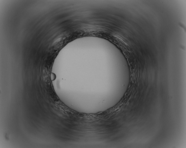 X0000093580917200710150954