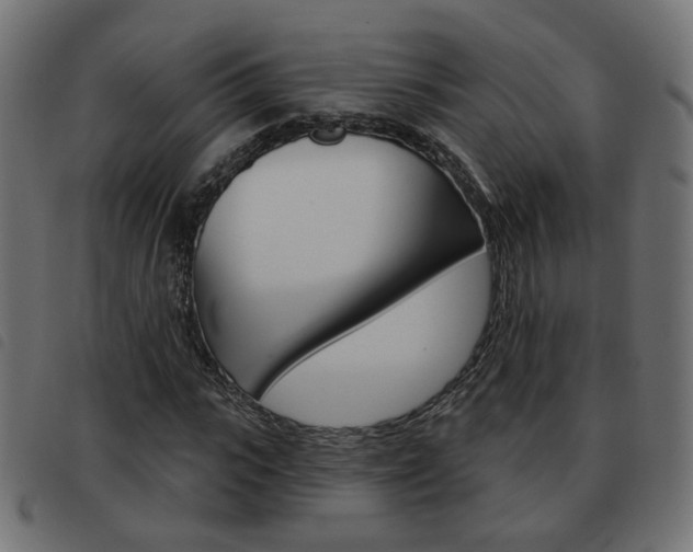 X0000093580919200710150954