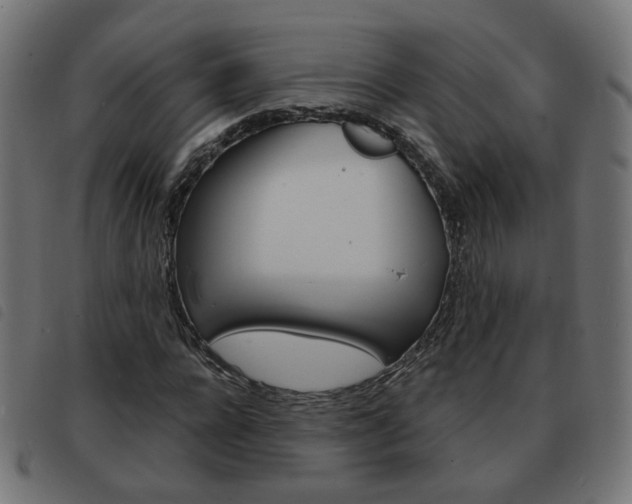 X0000093580920200710150954