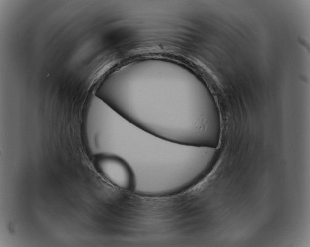 X0000093580921200710150954