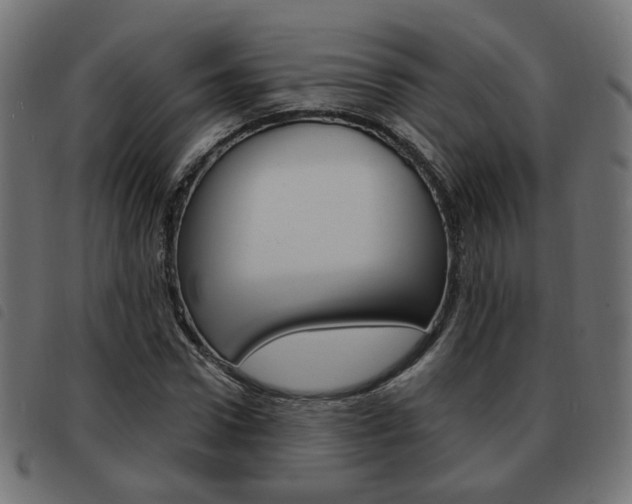 X0000093580922200710150954