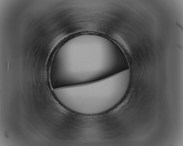 X0000093580924200710150954
