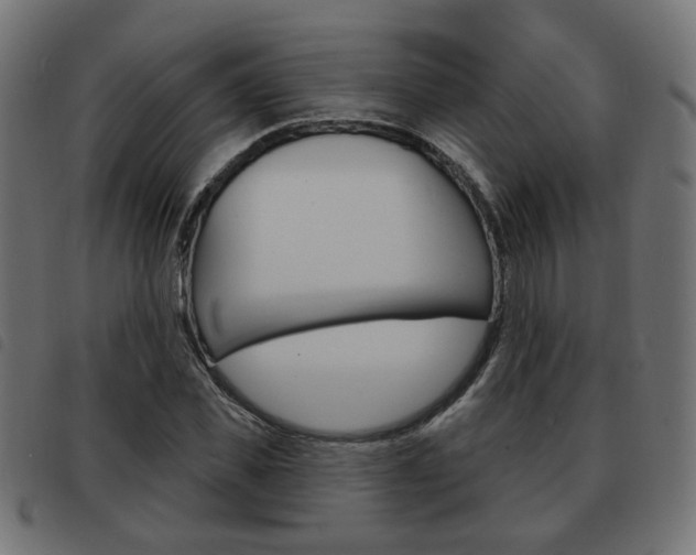 X0000093580925200710150954
