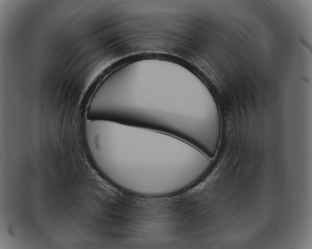X0000093580926200710150954