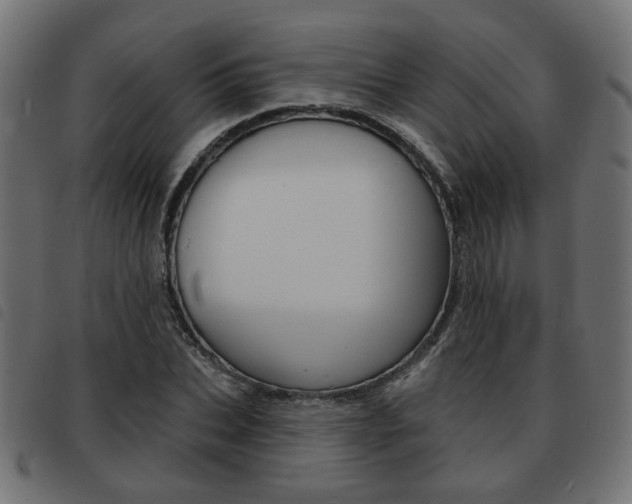 X0000093580927200710150954