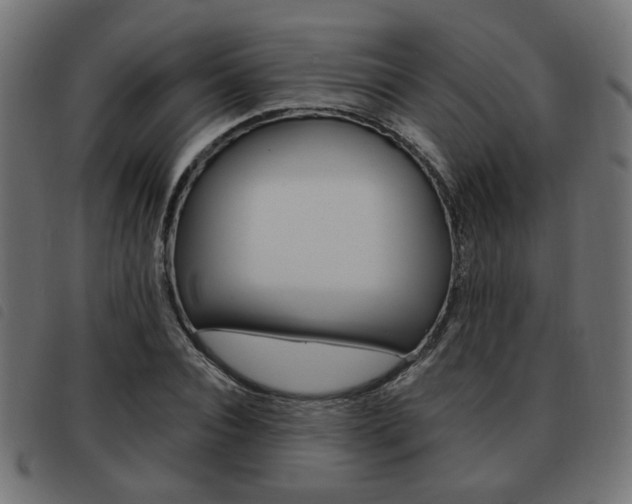 X0000093580928200710150954