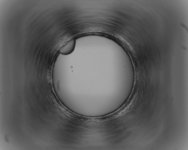 X0000093580929200710150954