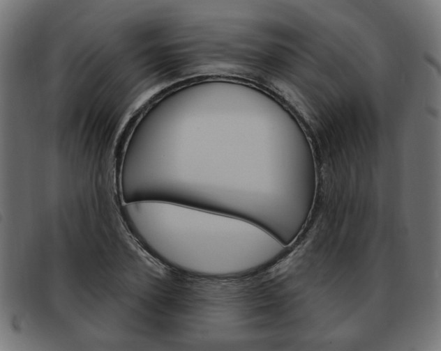 X0000093580931200710150954