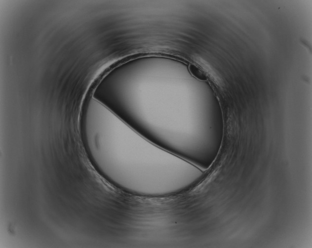 X0000093580932200710150954