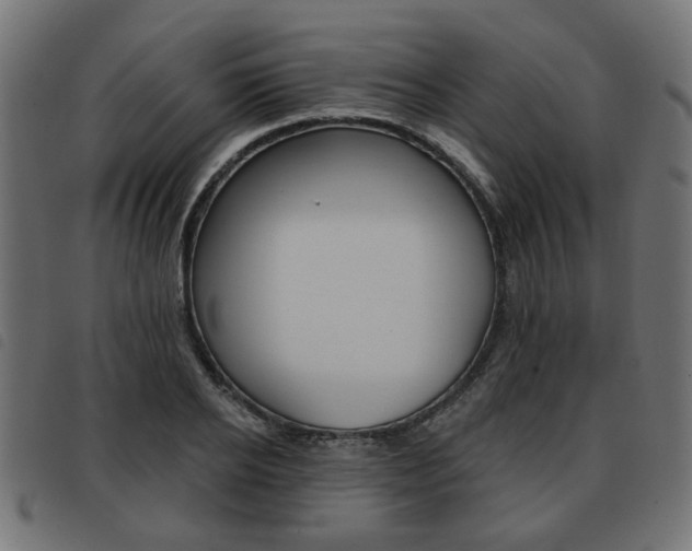 X0000093580934200710150954