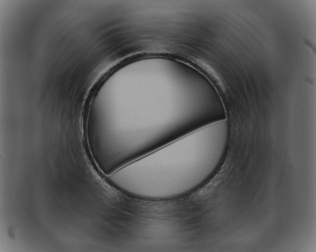 X0000093580935200710150954