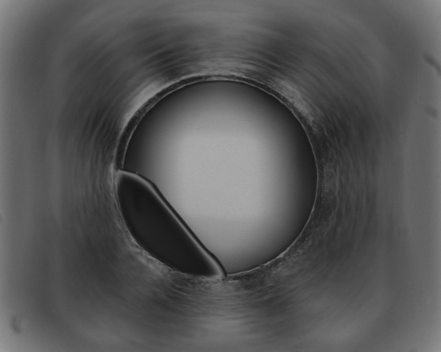 X0000093580936200710150954