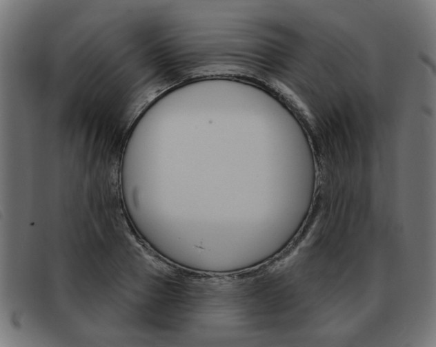 X0000093580937200710150954