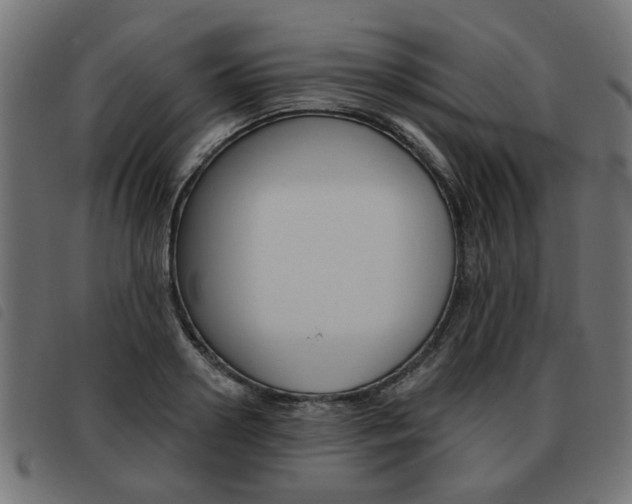 X0000093580938200710150954