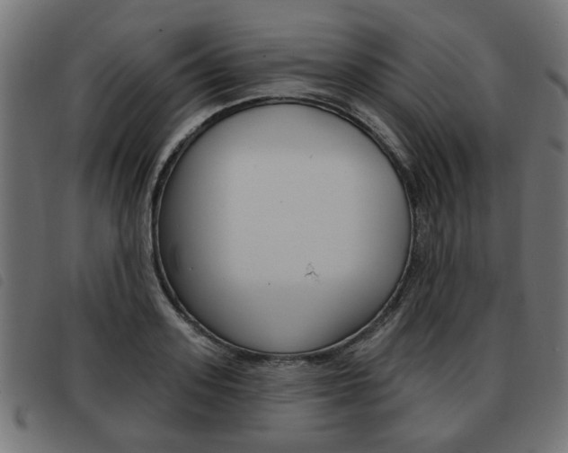 X0000093580939200710150954