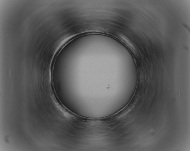 X0000093580940200710150954