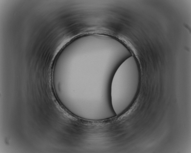 X0000093580941200710150954