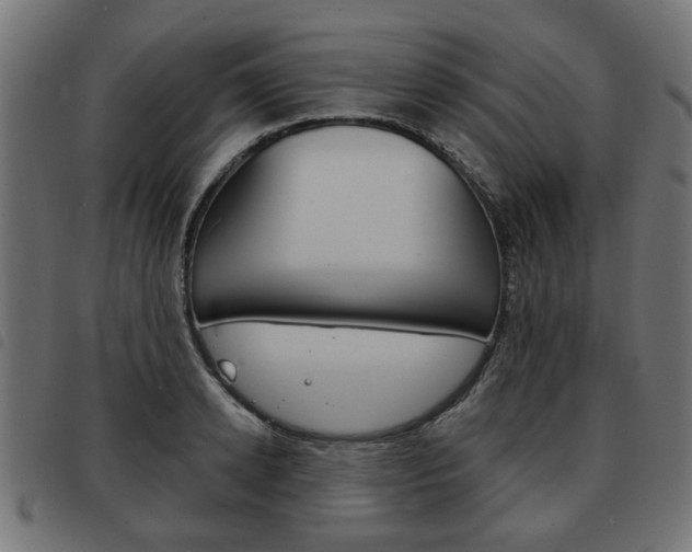 X0000093580942200710150954