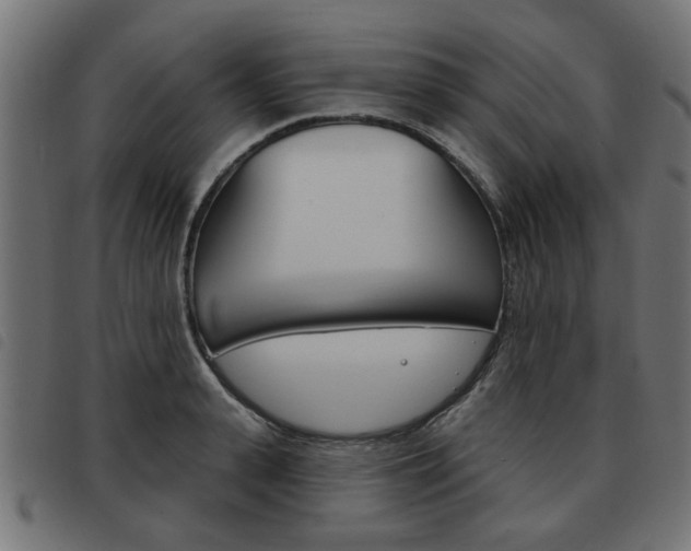 X0000093580943200710150954