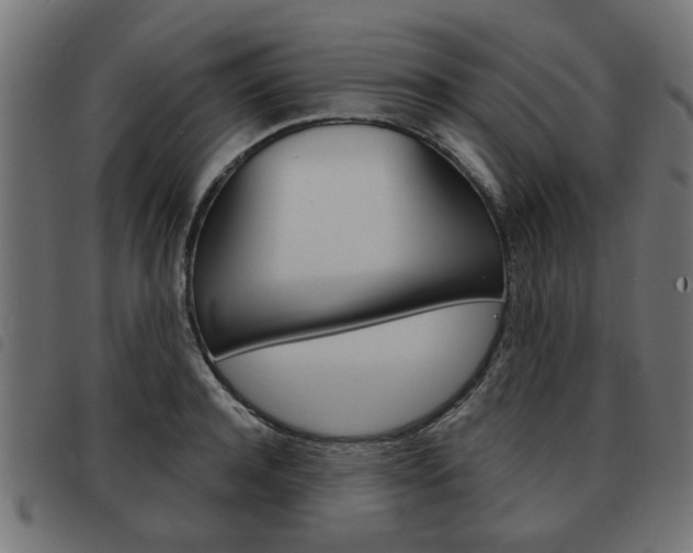 X0000093580944200710150954