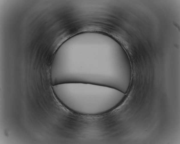 X0000093580945200710150954