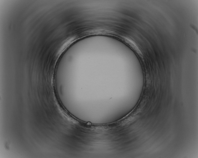 X0000093580946200710150954