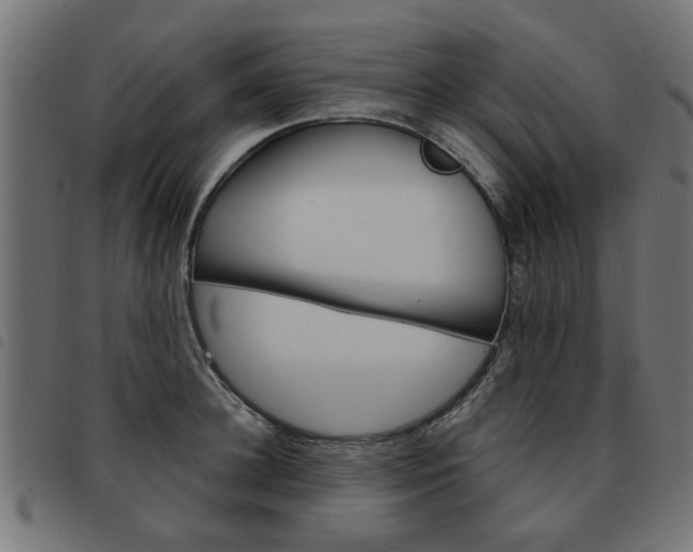 X0000093580948200710150955