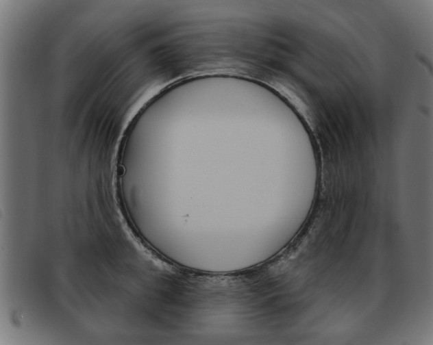 X0000093580949200710150955