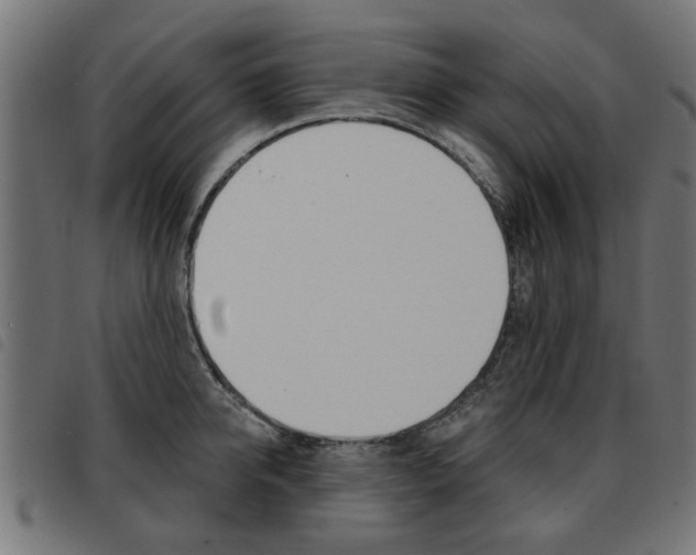 X0000093580950200710150955