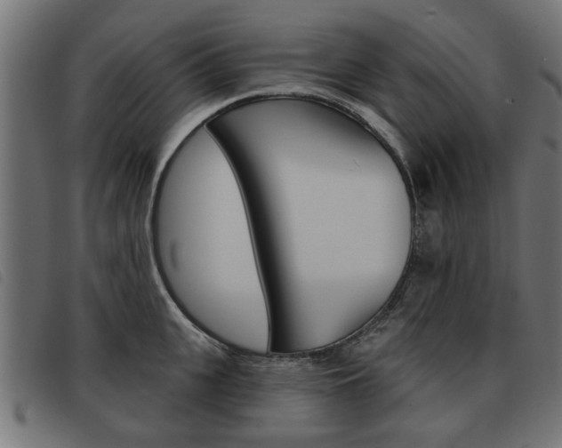 X0000093580951200710150955