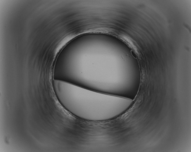 X0000093580952200710150955