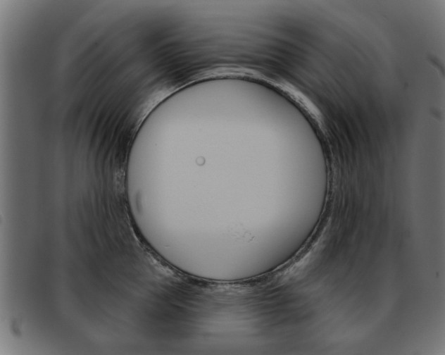 X0000093580953200710150955