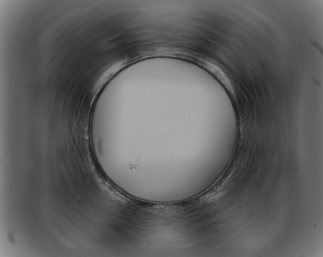 X0000093580954200710150955