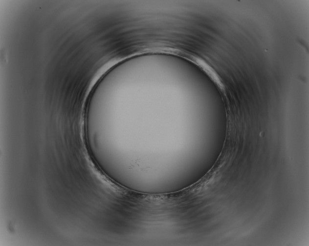 X0000093580955200710150955