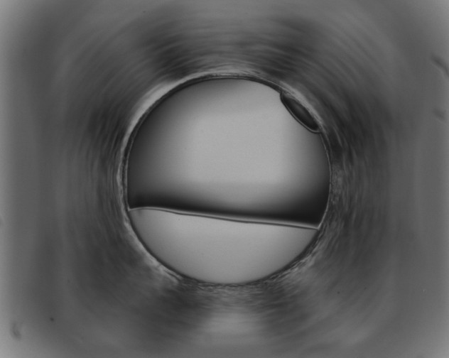 X0000093580959200710150955