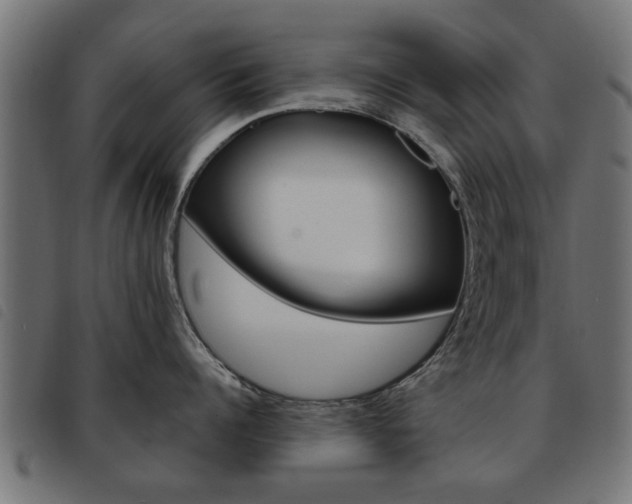 X0000093580960200710150955