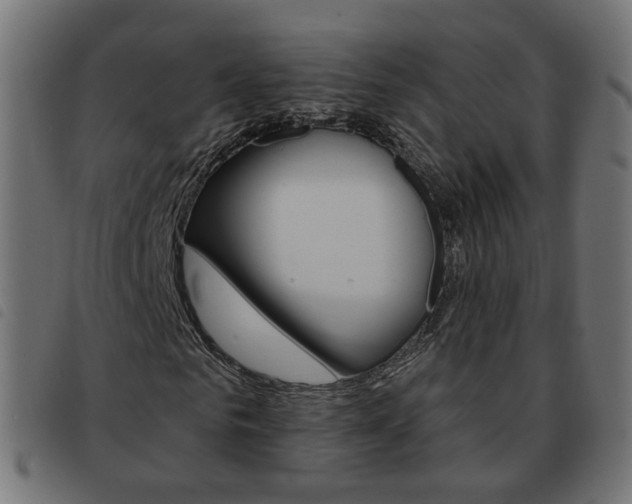 X0000093580961200710150954