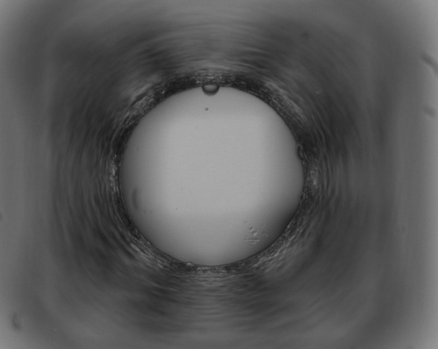 X0000093580964200710150954