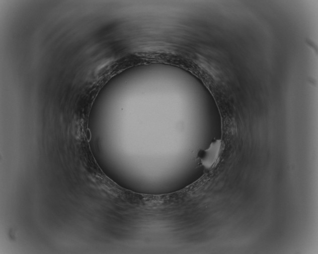 X0000093580965200710150954
