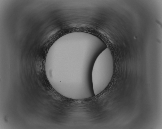 X0000093580966200710150954