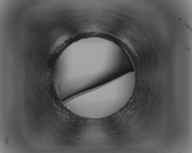 X0000093580967200710150954
