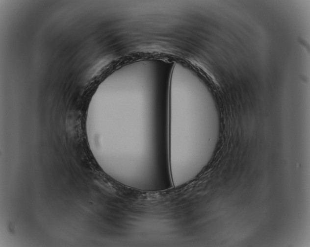 X0000093580968200710150954