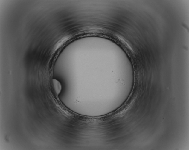 X0000093580970200710150954