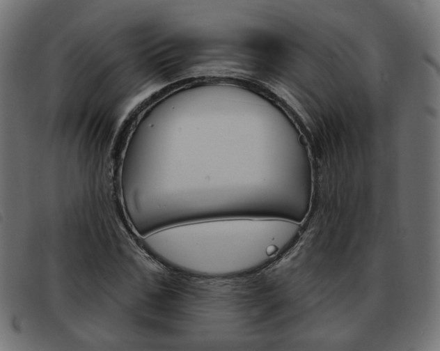 X0000093580971200710150954
