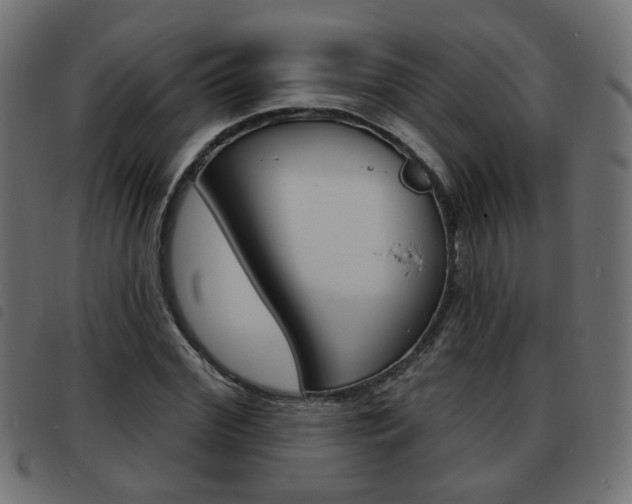 X0000093580972200710150954