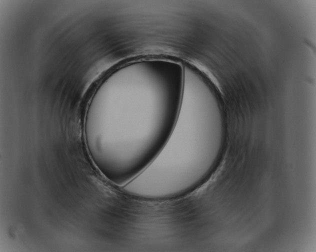 X0000093580973200710150954